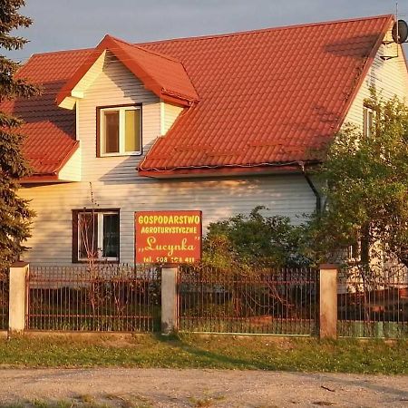 Gospodarstwo Agroturystyczne Lucynka Urszulin  Екстериор снимка